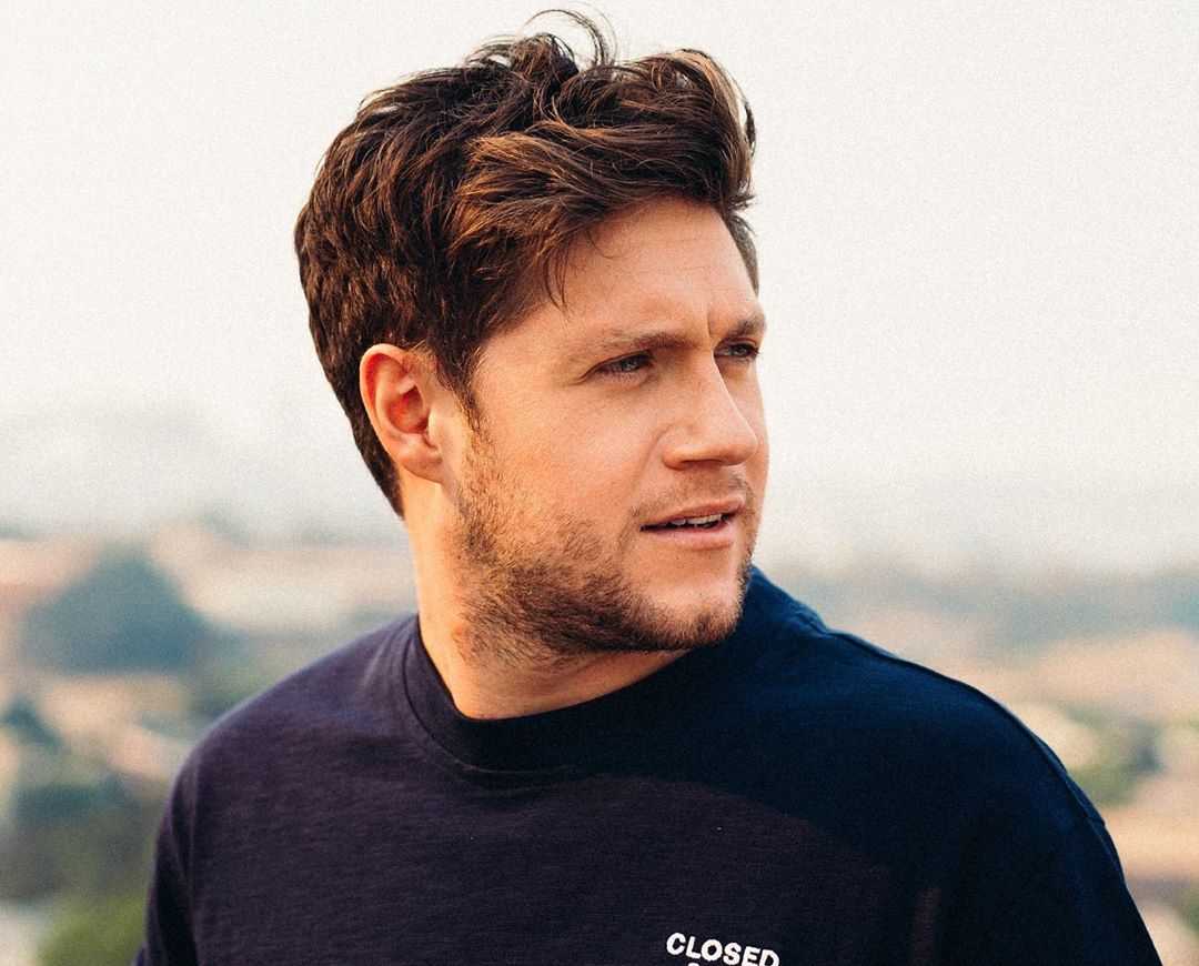 Niall Horan's Instagram Live Stream from December 7th 2019.