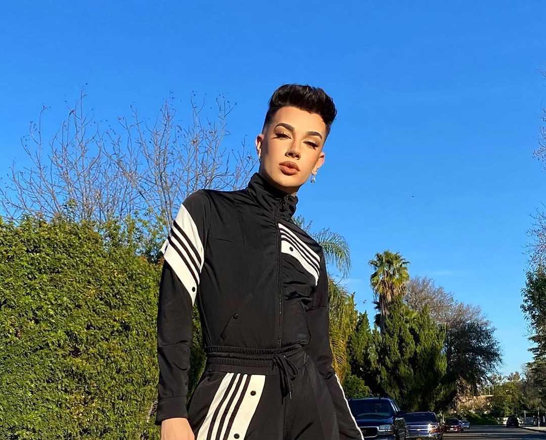 James Charles' Instagram Live Stream from January 30th 2020.